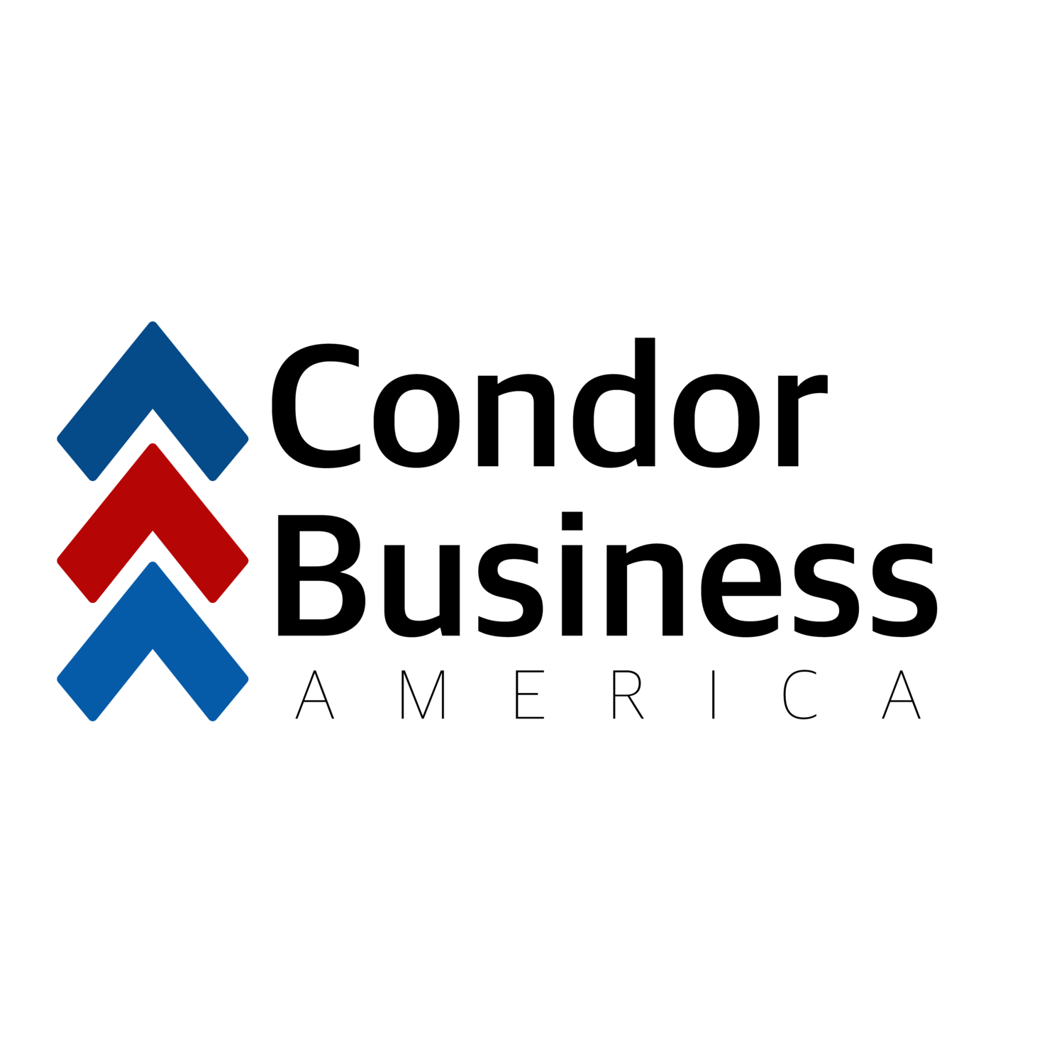 Condor Business America LLC Logo